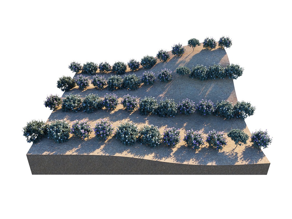 03_UVGrid_PatternGrid_Offset_U0_V0x5