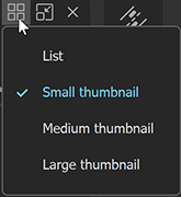 Chaos Anima > Understanding the UI > anima6_lists_thumbnails.png