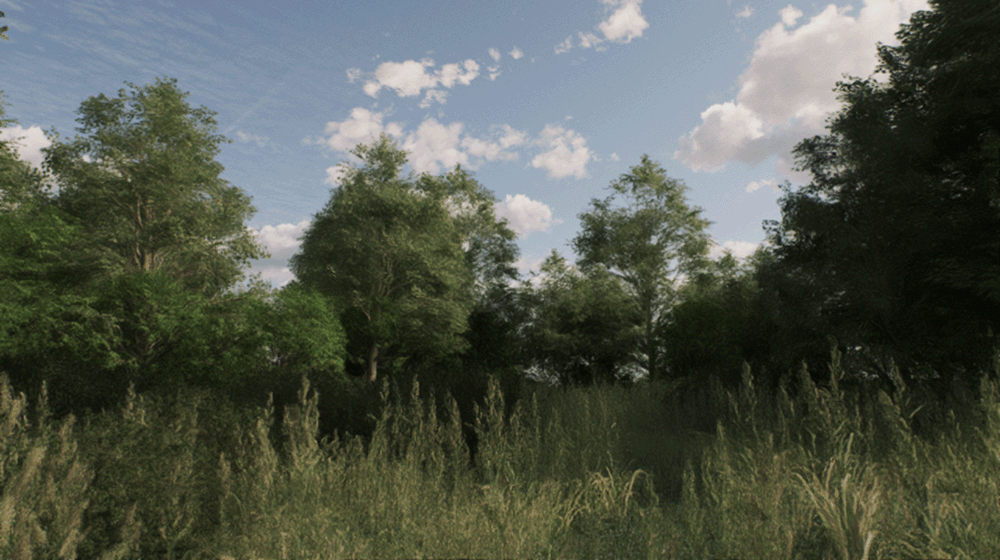 Chaos Vantage > Wind > Vantage_Wind_VegetationSpeed_300.gif
