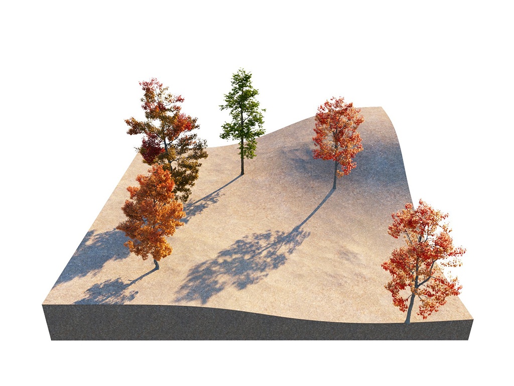 V-Ray for Revit > Scatter > 02_MaxCount_50_InstancesCount_5.jpg 02_MaxCount_50_InstancesCount_5