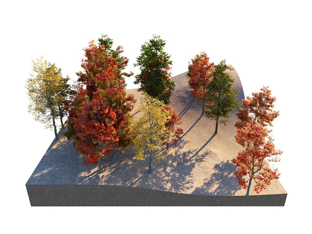 V-Ray for Revit > Scatter > 03_MaxCount_50_InstancesCount_25.jpg 03_MaxCount_50_InstancesCount_25